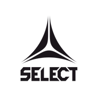 Sponsor logo #2